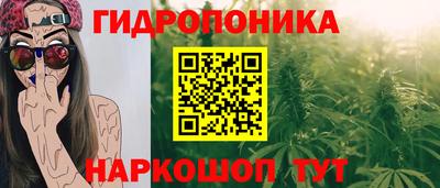 гидра Можайск