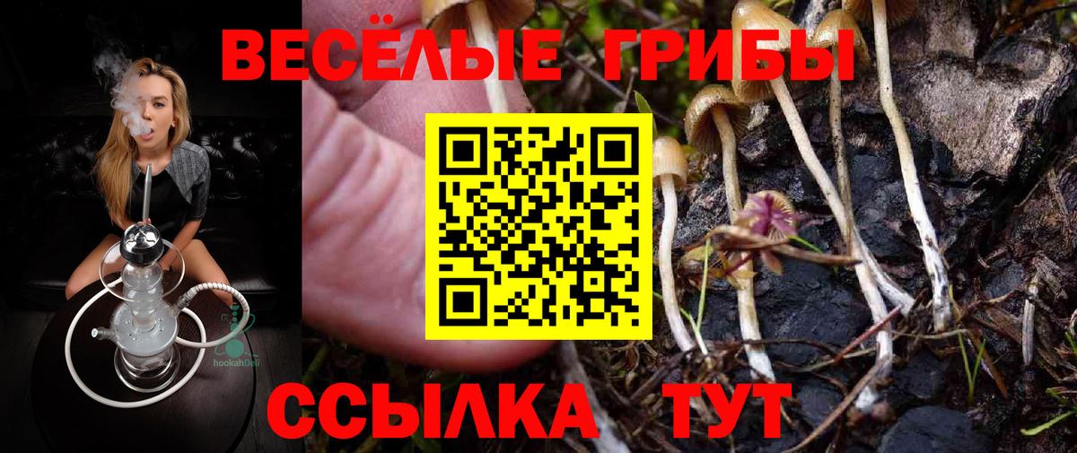 Псилоцибиновые грибы GOLDEN TEACHER Приморско-Ахтарск