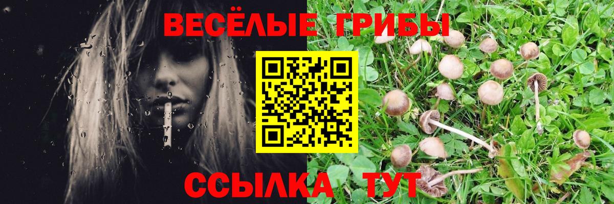 Приморско-Ахтарск  Псилоцибиновые грибы Psilocybe  Вход с VPN 